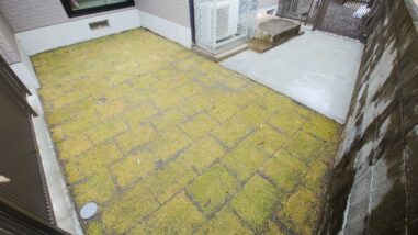 愛犬のためのドッグラン施工工事(佐伯市/K様邸)