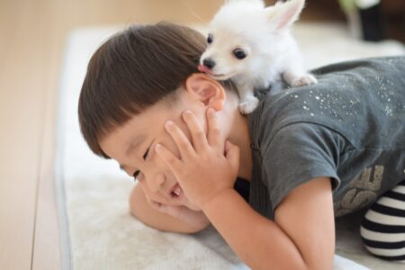 小さなお子様やペットの脱走防止にも大活躍