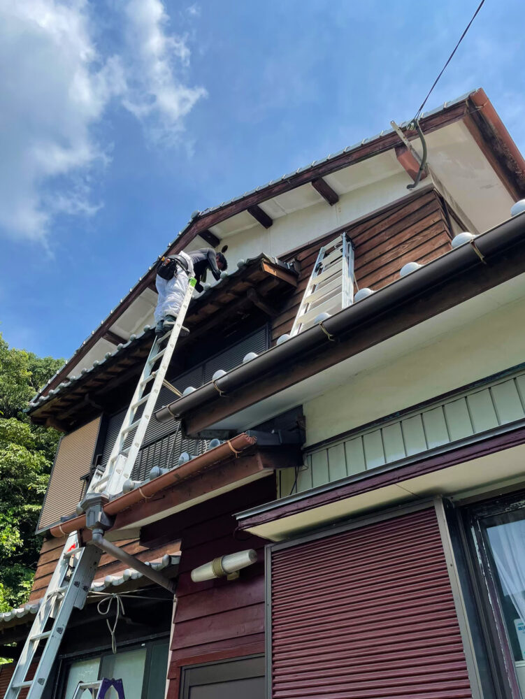 高所で蜂駆除作業をしている様子