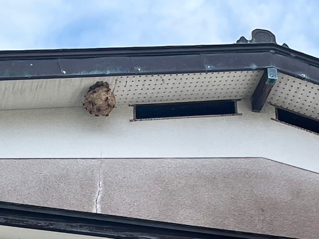 2階の軒下にできた蜂の巣