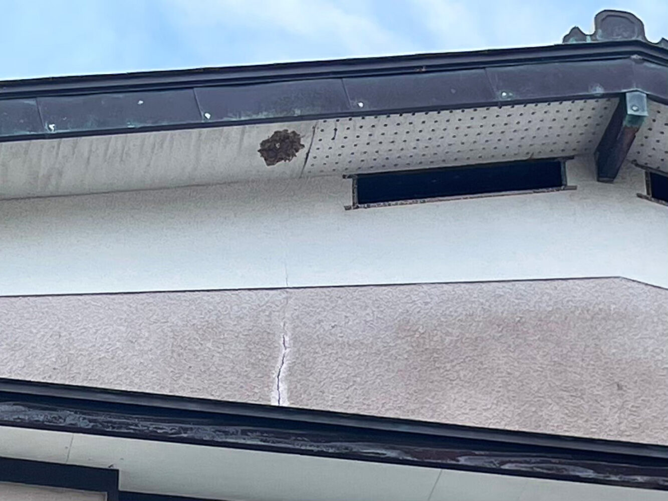 2階軒下にできた蜂の巣の駆除完了