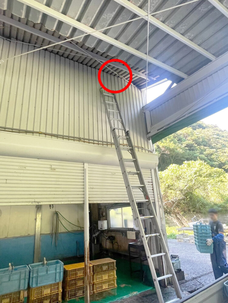 倉庫内天井付近にできた蜂の巣の駆除完了