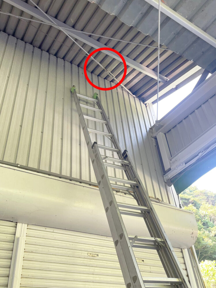 倉庫内天井付近にできた蜂の巣の駆除完了
