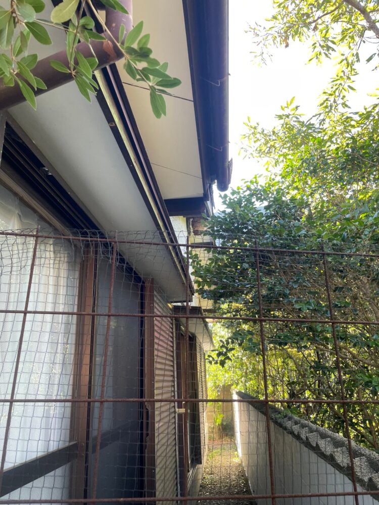 1階軒下にできたスズメバチの巣