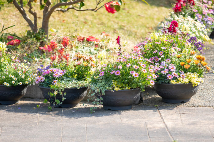 植栽やプランターで自分の敷地をアピール