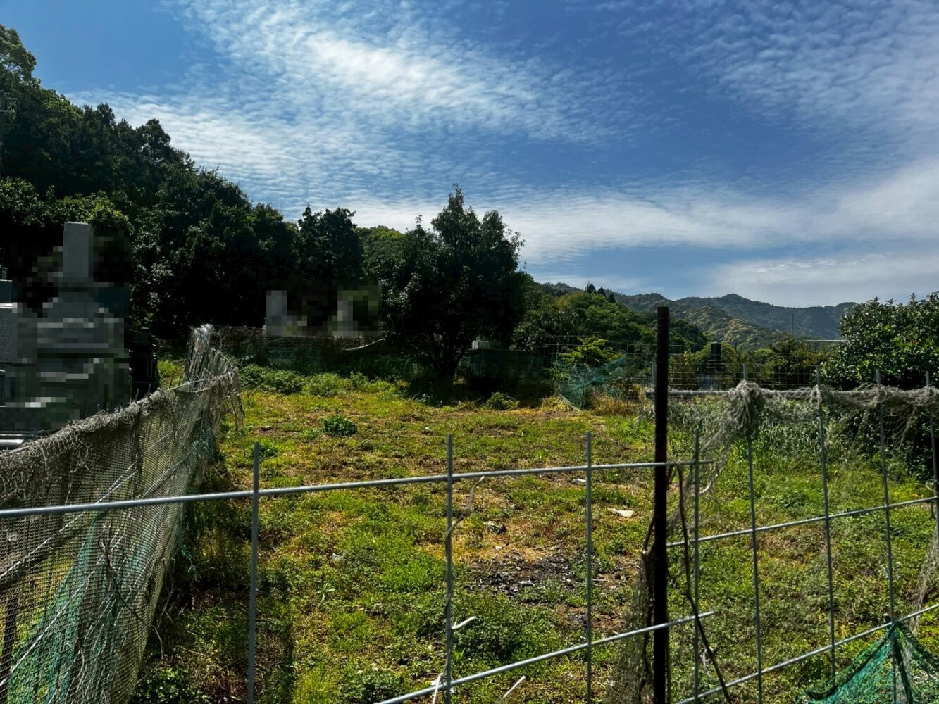 草が生えた空き地